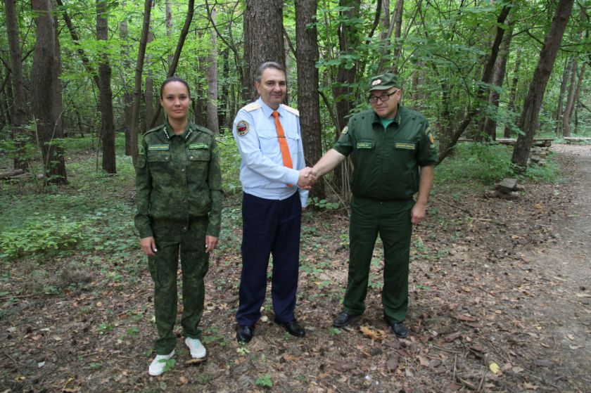 Более 800 тысяч обращений: как в Подмосковье работает система реагирования на лесные инциденты