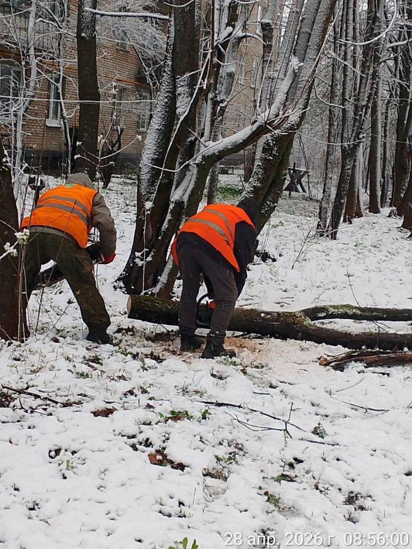Распил поваленных деревьев, устранение подтоплений и расчистка дорог от снега - коммунальные службы продолжают работу усиленном режиме
