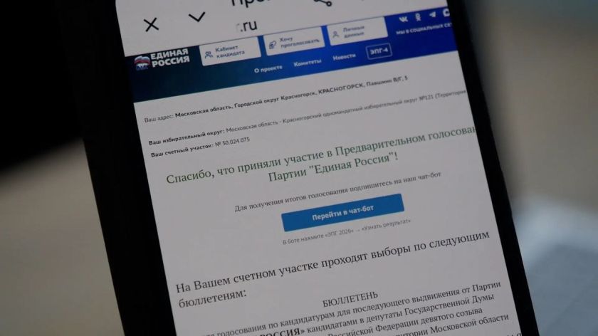 «Единая Россия» подвела итоги предварительного электронного голосования