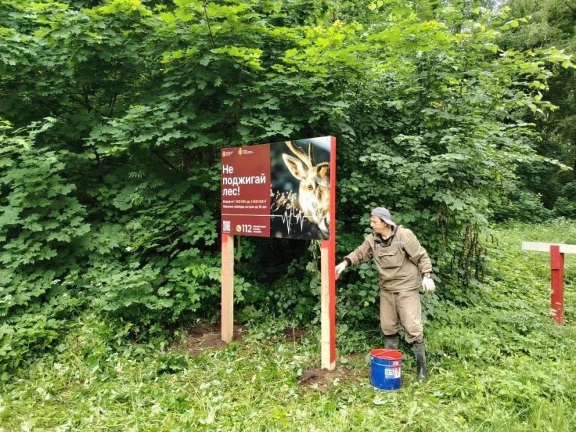 В Красногорске активно ведутся работы по противопожарному обустройству лесов