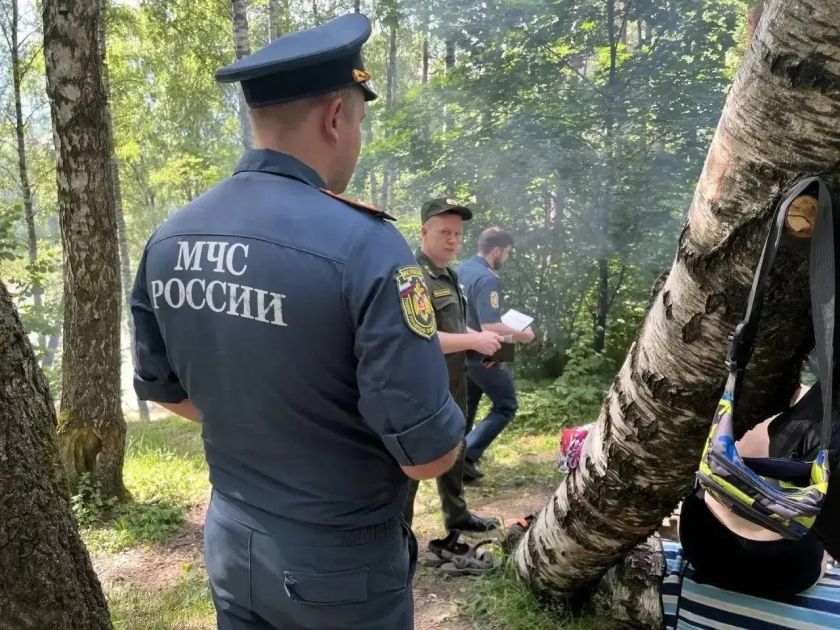 145 нарушений лесного законодательства выявлено в первом полугодии