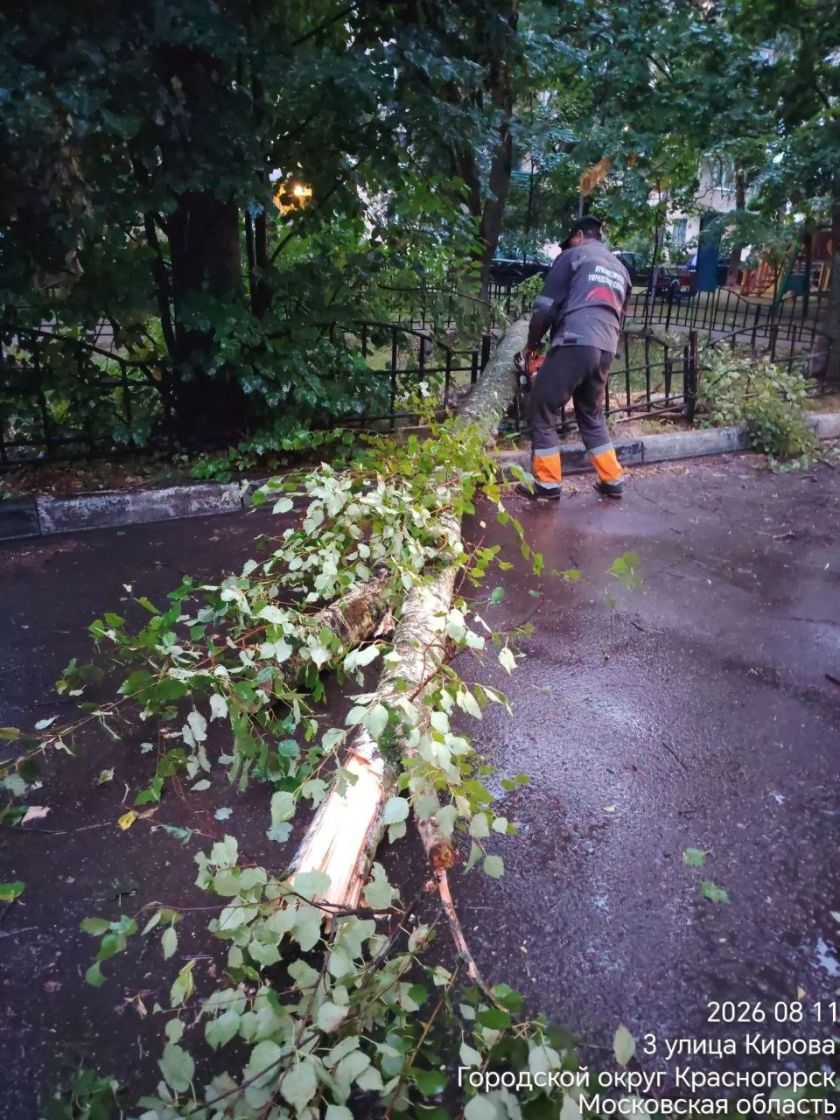 В округе продолжается ликвидация последствий непогоды. Сотрудники городских служб устраняют последствия проливного дождя - убирают упавшие деревья и обломанные ветки