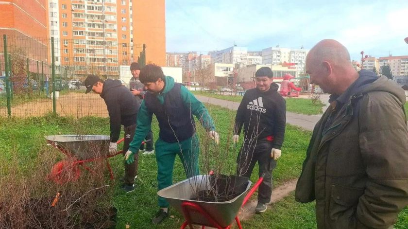 Живая изгородь украсила двор в Красногорске