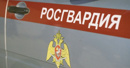 Свыше 800 проверок обеспечения сохранности оружия гражданами провели сотрудники Росгвардии в Красногорске