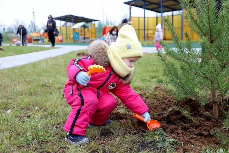 Порядка 44 тысяч молодых растений высадили в Красногорске в 2021 году