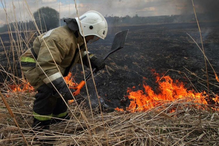 Более 1500 палов травы потушили огнеборцы ГКУ МО «Мособлпожспас» с начала пожароопасного сезона
