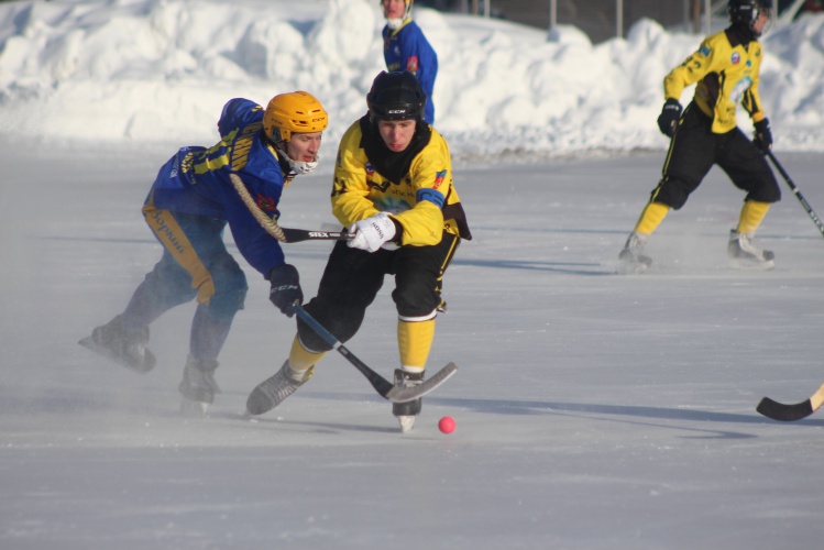 Красногорская команда по хоккею с мячом занимает лидирующие позиции на Всероссийских соревнованиях