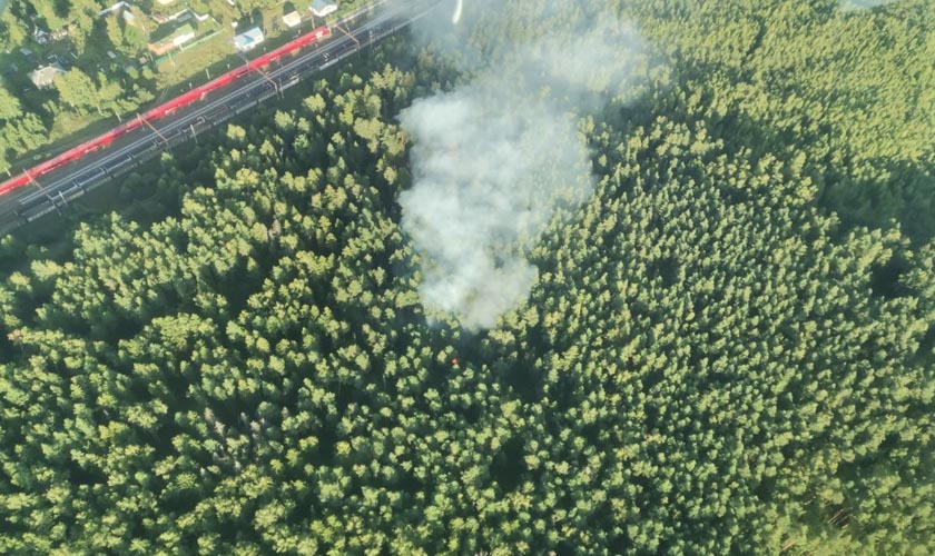 За неделю подмосковные лесопожарные формирования ликвидировали восемь пожаров