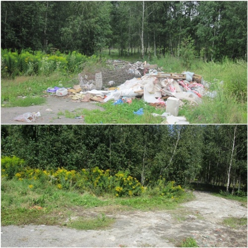 В Щелковском районе за неделю ликвидировано 56 кубометров мусора
