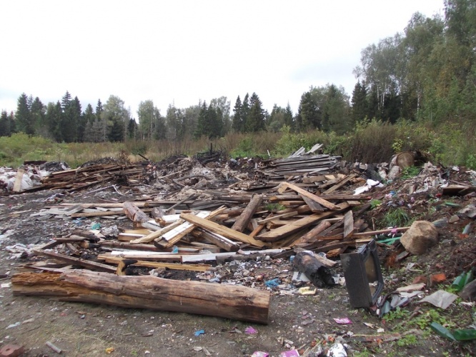 По требованию Госадмтехнадзора лесной массив в Вербилках очистили от мусора