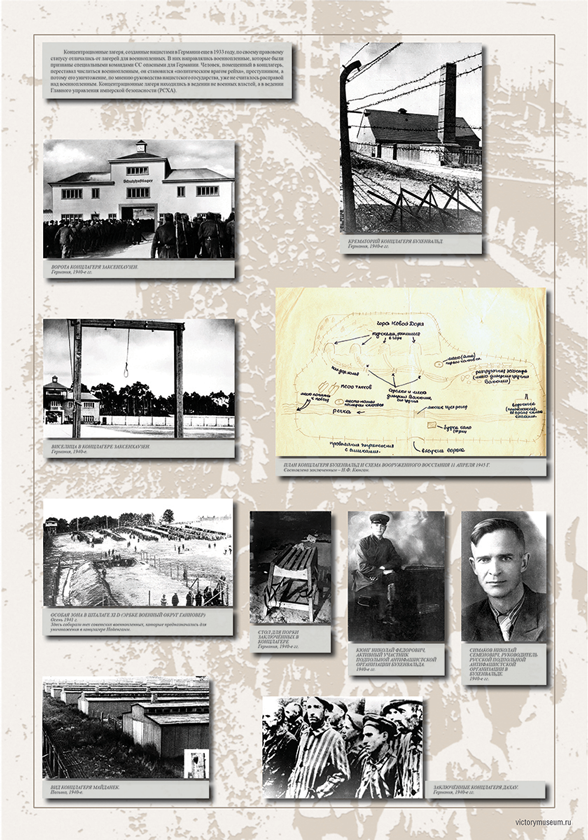 Видеоверсию выставки Красногорского филиала Музея Победы увидят на Кипре
