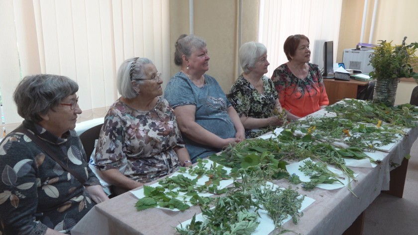 В Красногорске прошел экологический мастер-класс «Аптекарская тропа» 