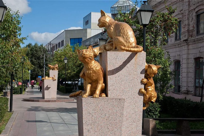 Красногорский филиал Музея Победы рассказал о службе котов в годы войны