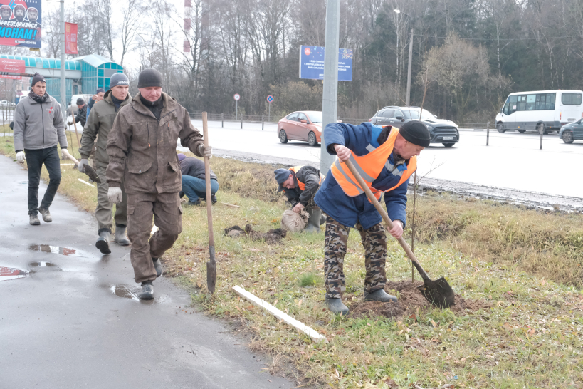 400 лип и 100 кустов бересклета посадили в Красногорске
