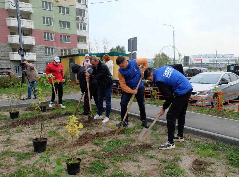 В Красногорске продолжается акция «Наш лес. Посади свое дерево»