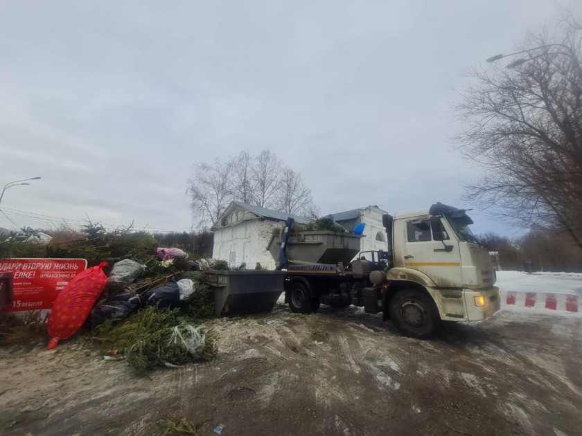В Красногорске продолжается экологическая акция по сбору новогодних елок