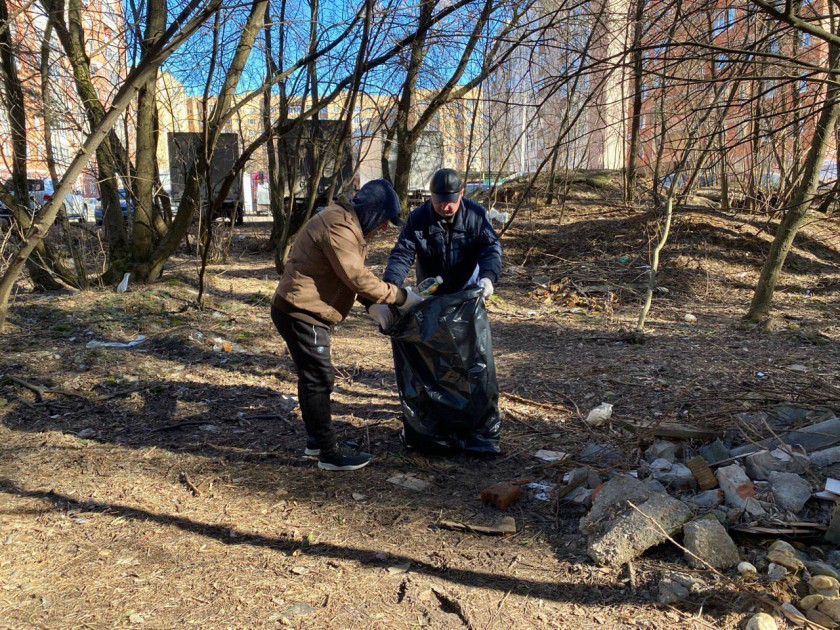 В Нахабино на озере Торфяное проходит субботник