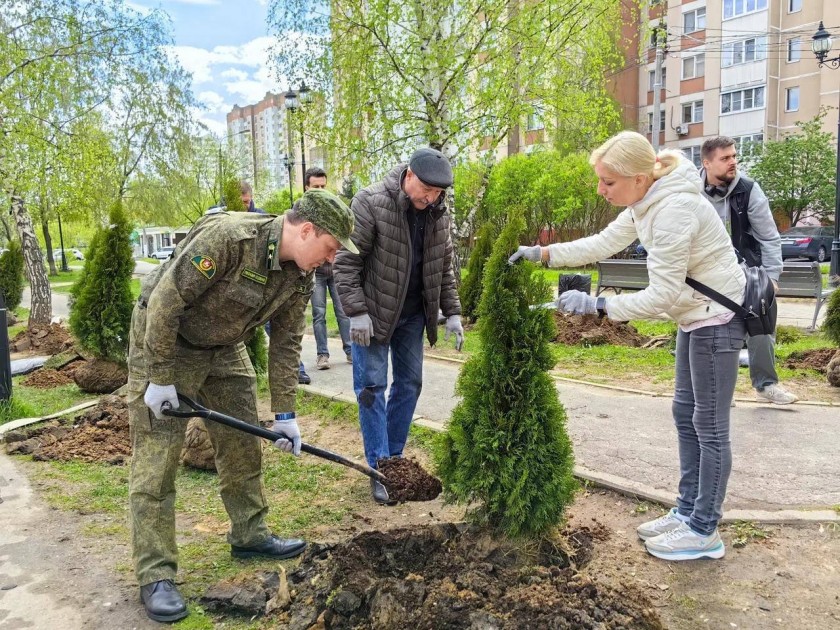 20 туй высадили в Нахабино в рамках международной акции «Сад Памяти»