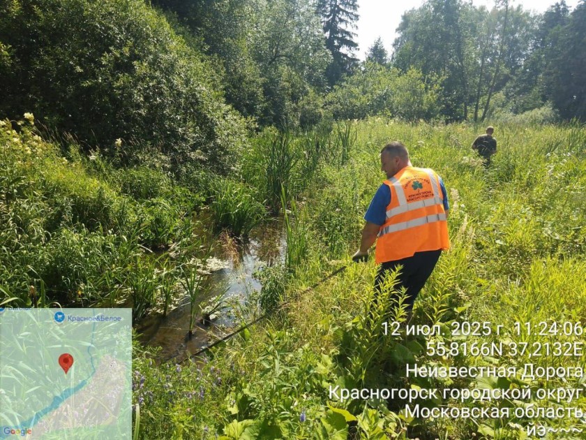 Берег реки Липки очистили в Красногорске