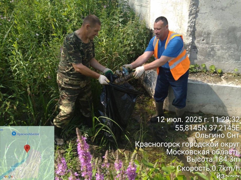 Берег реки Липки очистили в Красногорске