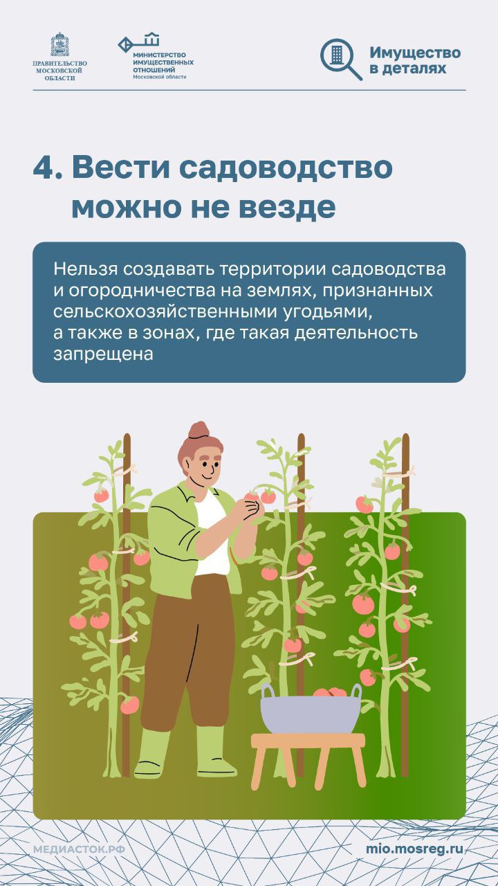 С 1 сентября 2025 года вступит в силу обновлённая редакция Закона «О ведении гражданами садоводства и огородничества для собственных нужд»