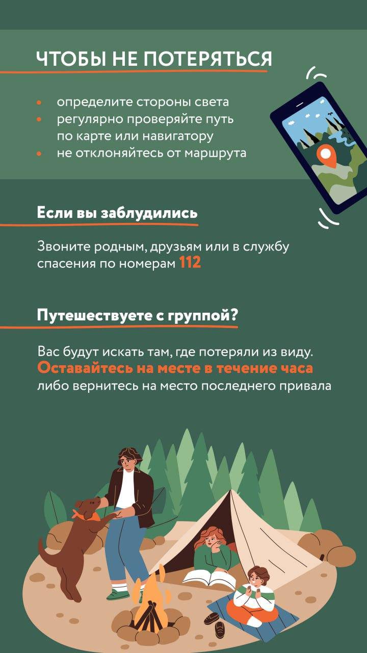 Наступила грибная пора, и жители Красногорска активно исследуют свои любимые места в лесу