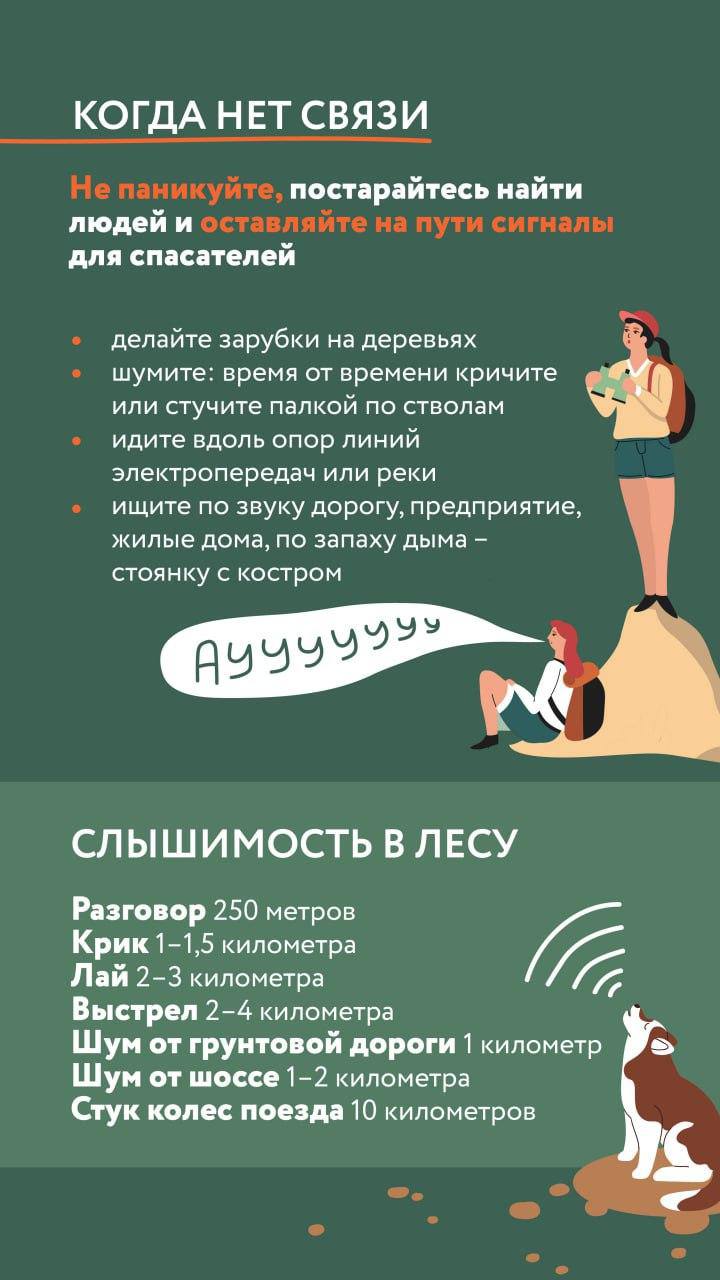 Наступила грибная пора, и жители Красногорска активно исследуют свои любимые места в лесу