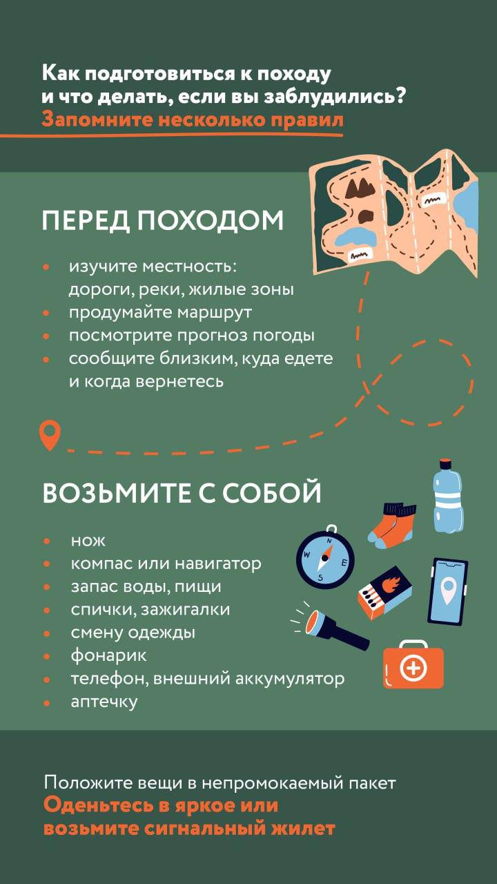Наступила грибная пора, и жители Красногорска активно исследуют свои любимые места в лесу