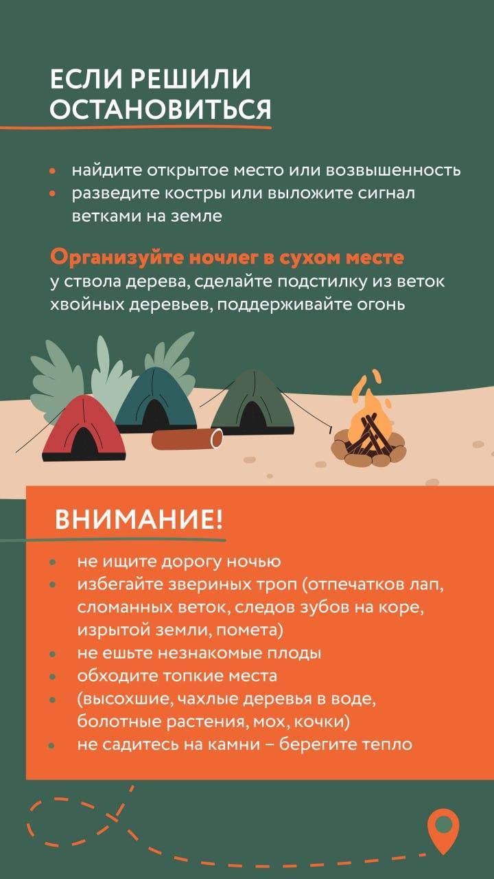 Наступила грибная пора, и жители Красногорска активно исследуют свои любимые места в лесу