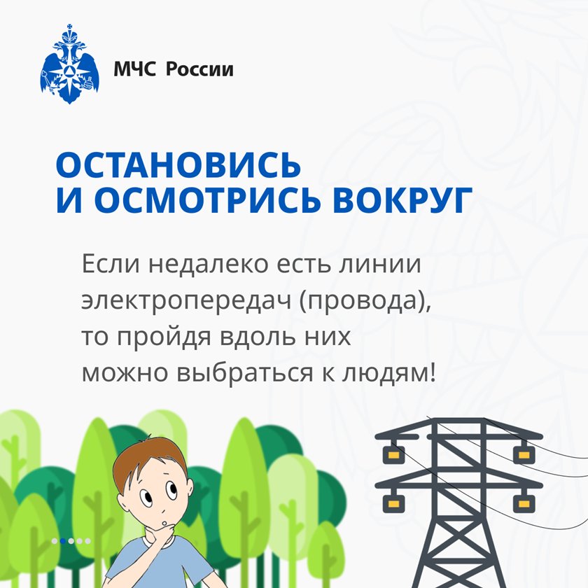 Что делать, если заблудился в лесу?