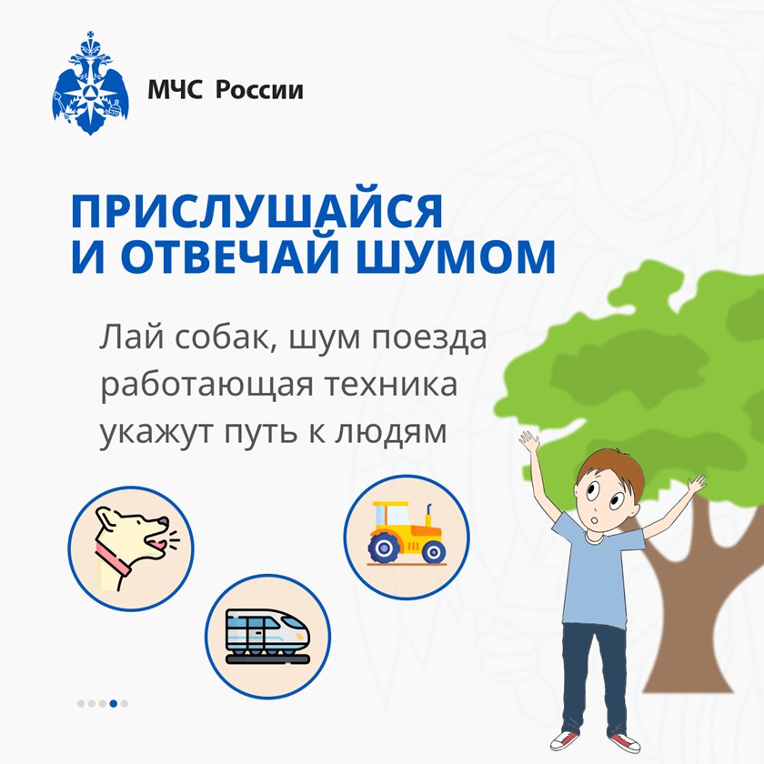 Что делать, если заблудился в лесу?
