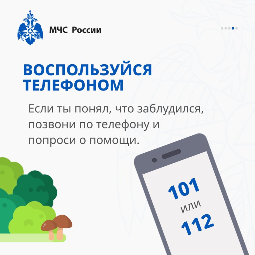 Что делать, если заблудился в лесу?