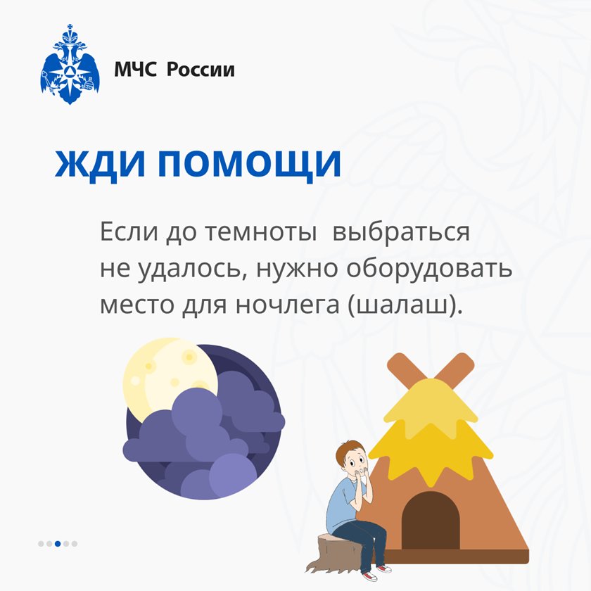 Что делать, если заблудился в лесу?