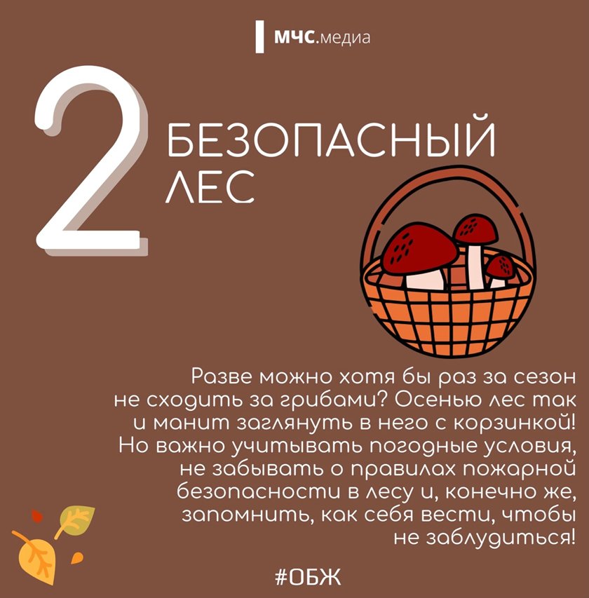 5 осенних сезонных рисков
