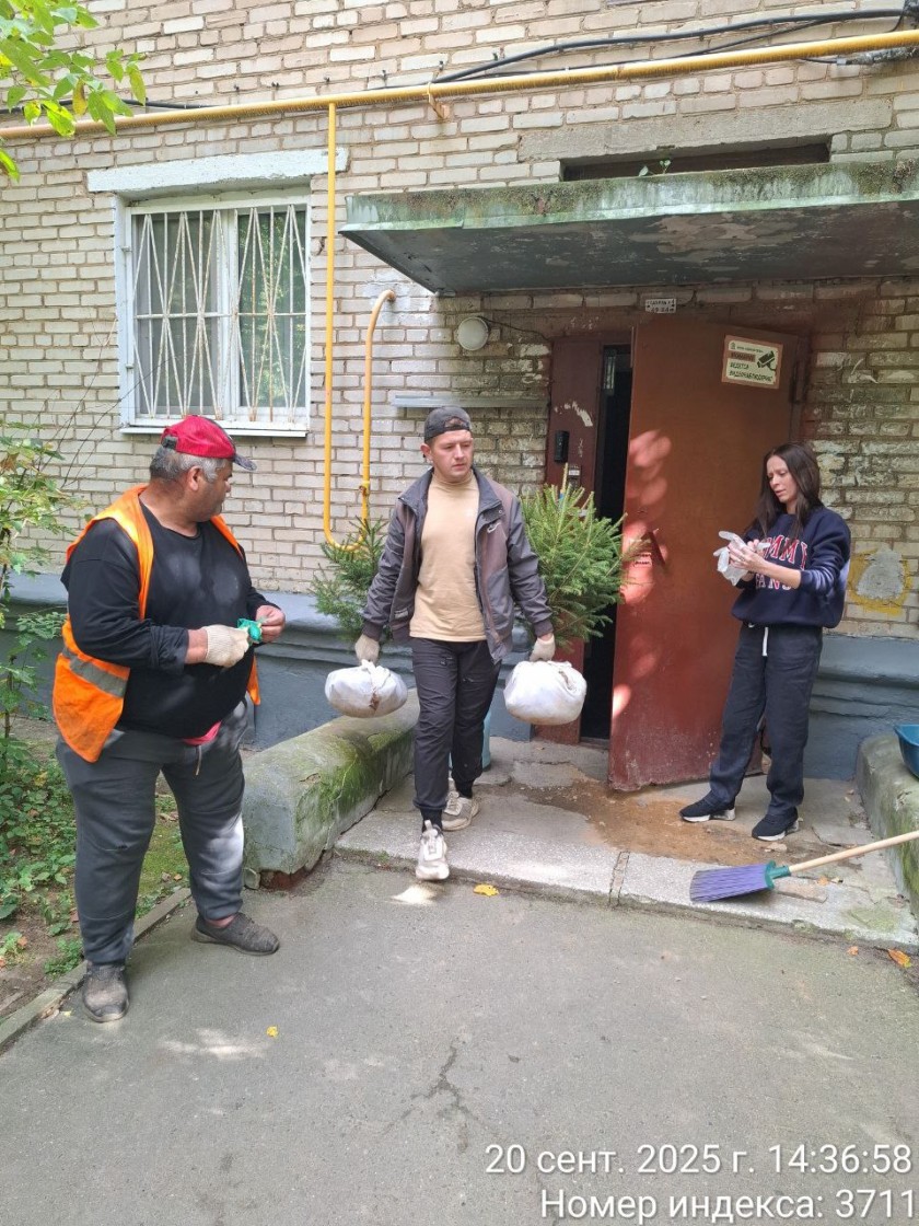 В честь Дня города в территориальном отделе Красногорск прошла акция по озеленению территории. В ней приняли участие сотрудники отдела, работники МБУ «КГС» и активные жители города