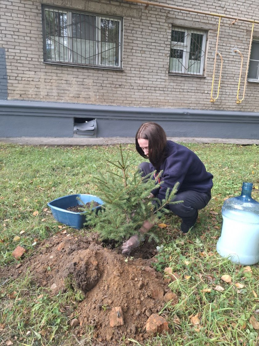 В честь Дня города в территориальном отделе Красногорск прошла акция по озеленению территории. В ней приняли участие сотрудники отдела, работники МБУ «КГС» и активные жители города