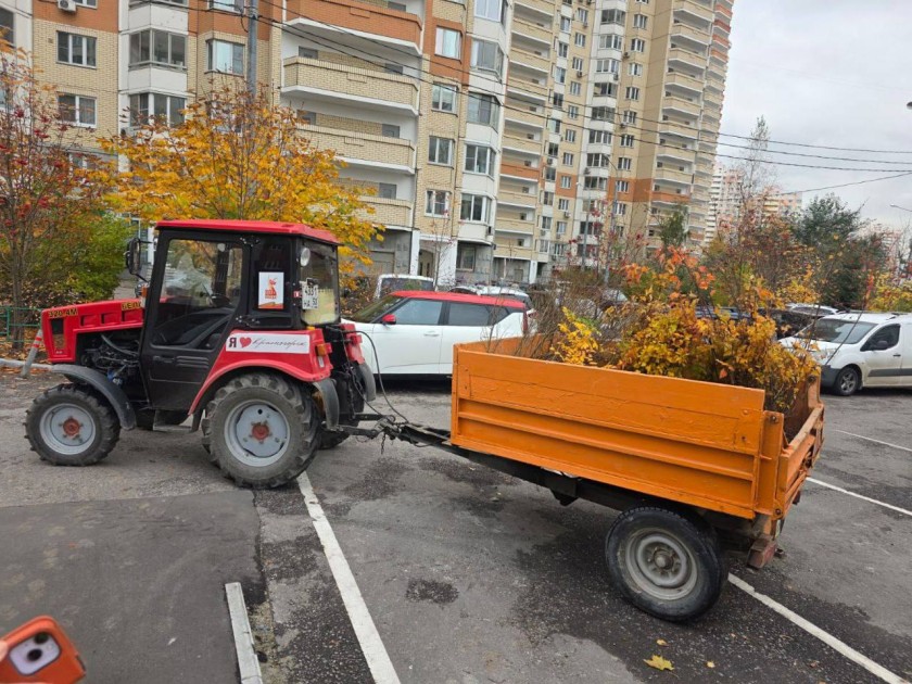 В Павшинской пойме прошел субботник