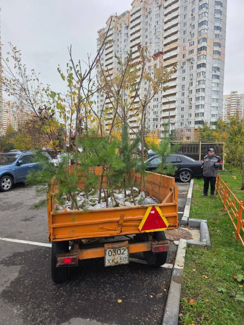 В Павшинской пойме прошел субботник