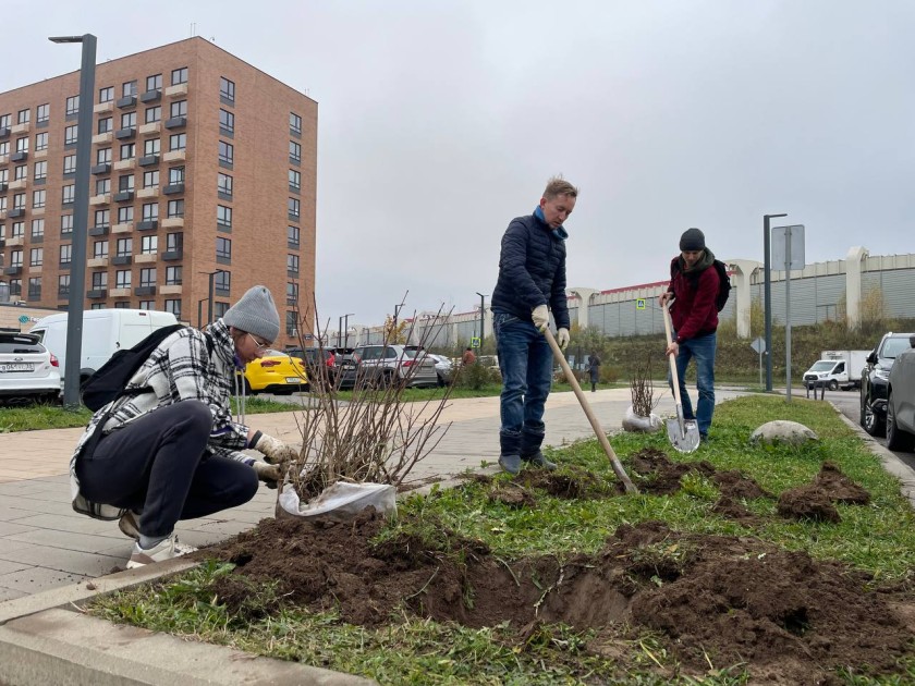 В жилом комплексе «Ильинские луга» прошла акция по озеленению территории