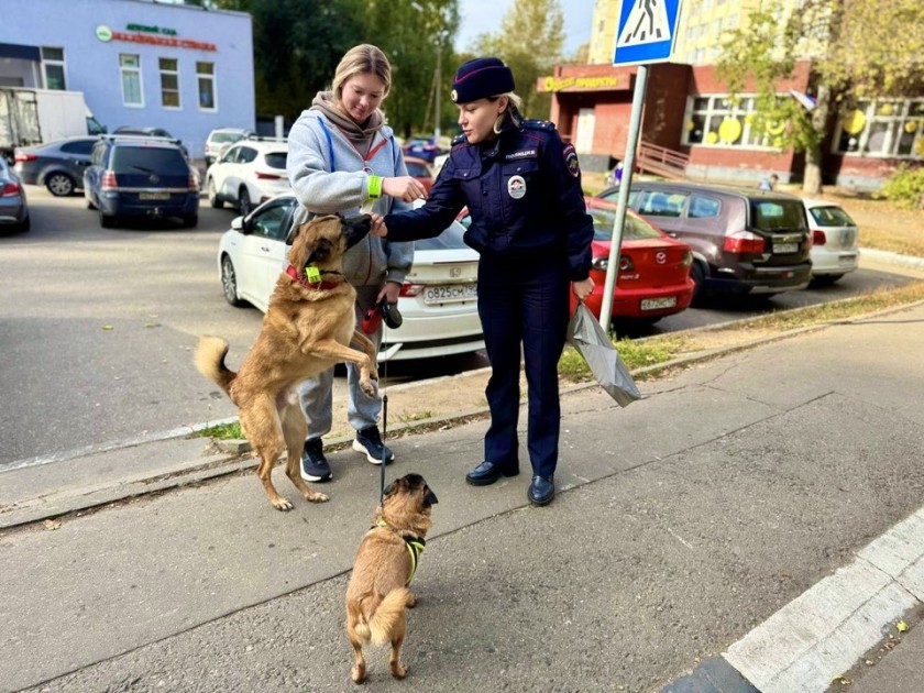 4 октября – Всемирный день защиты животных
