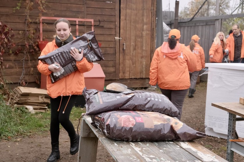 «Лохматому ангелу» – от чистого сердца