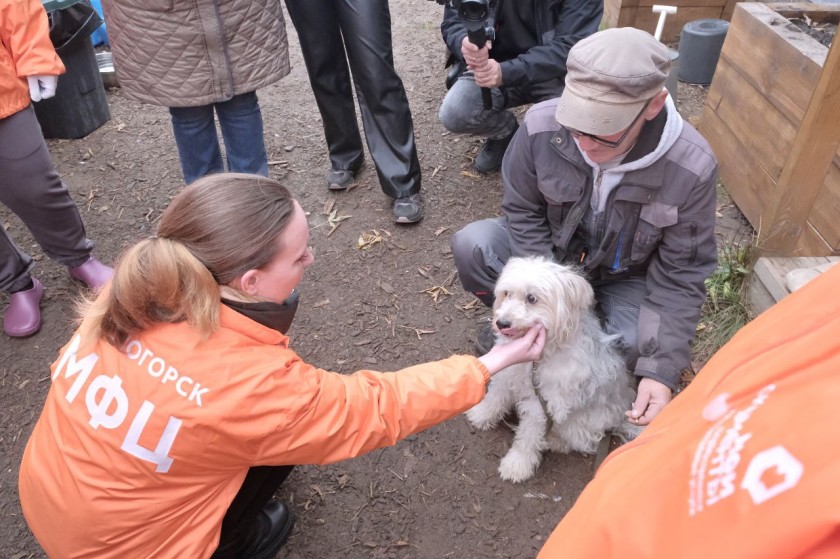 «Лохматому ангелу» – от чистого сердца