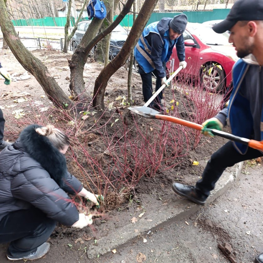 В Красногорске прошла акция по озеленению дворовых территорий