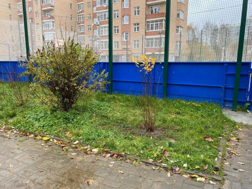 В Красногорске прошла акция по озеленению дворовых территорий