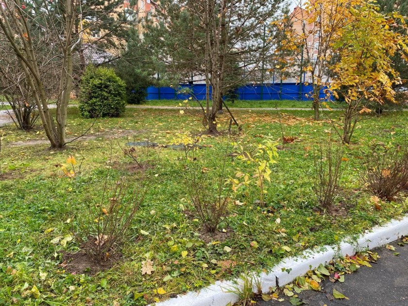 В Красногорске прошла акция по озеленению дворовых территорий