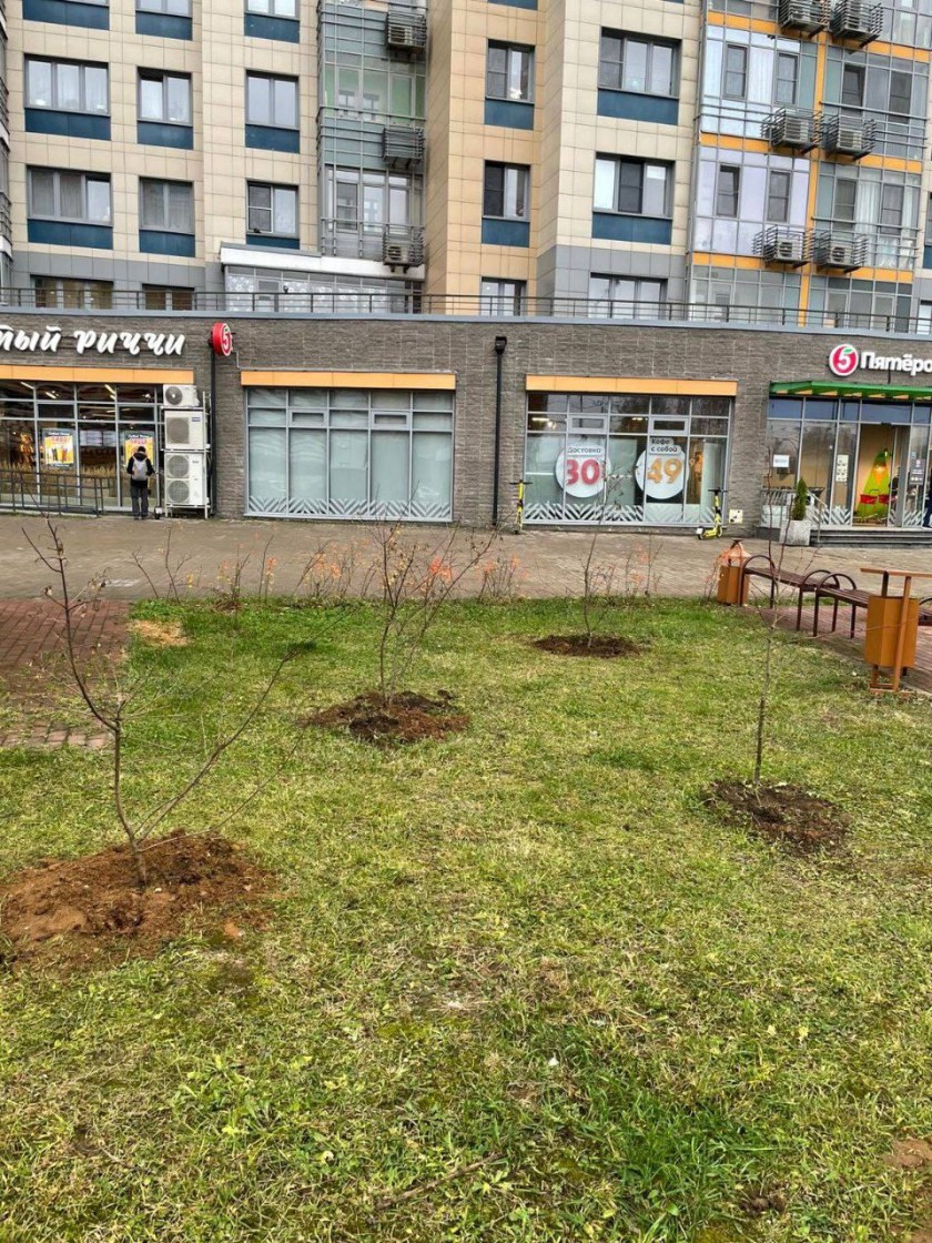 В микрорайоне Павшинская пойма продолжается осеннее озеленение