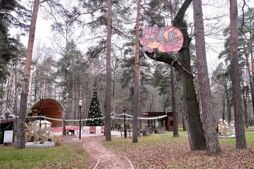 С каждым днем лучше!