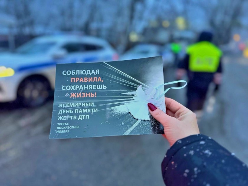 В Красногорске прошла акция в преддверии Всемирного дня памяти жертв ДТП