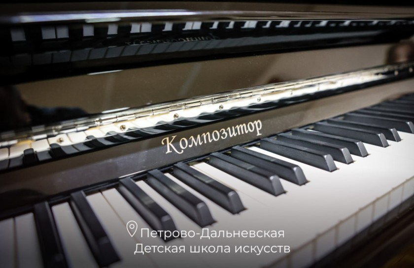 Новые музыкальные инструменты в учреждениях дополнительного образования Красногорска