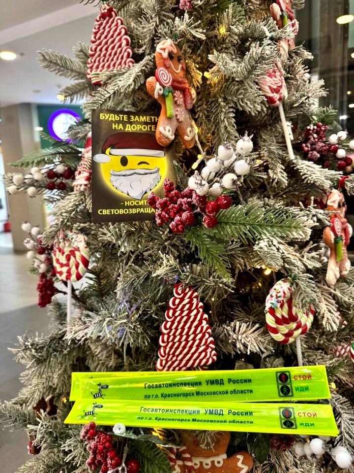 В день рождения Деда Мороза,сотрудники Подмосковной Госавтоинспекции провели — акцию «Засветись!».